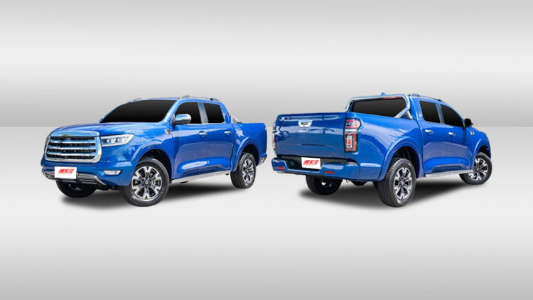 PARTS TO SUIT GREAT WALL CANNON 2019-